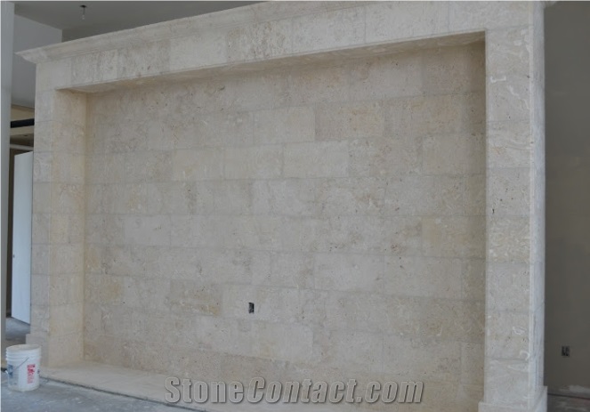 Interior Natural Coral Stone Focal Point