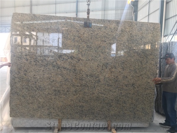 Giallo Santa Cecilia Granite From Xzx-Stone