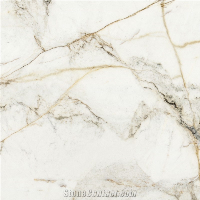 Calacatta Murano Marble 
