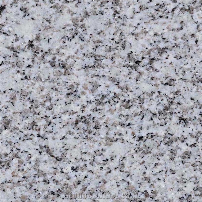 Gris Salanga Granite 
