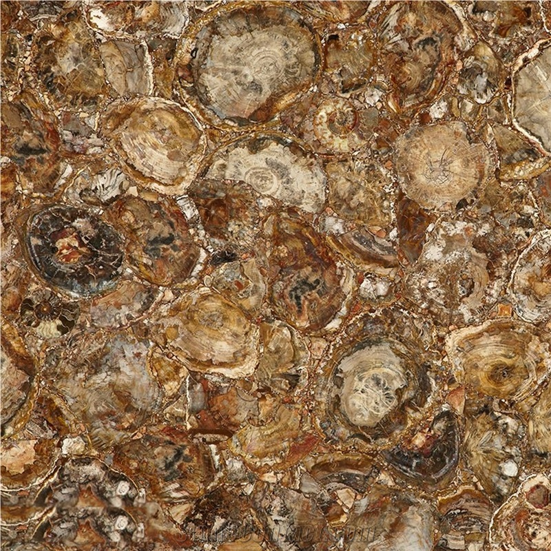 Petrified Wood Semiprecious Stone Tile