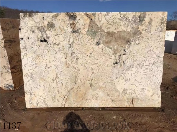 Brazil Pandora Granite Beige Standard Size Slabs Polished