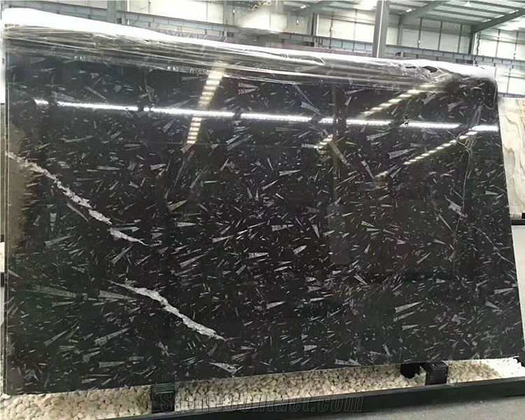 Factory Price High Quality Fossil Stone Marble Slabs