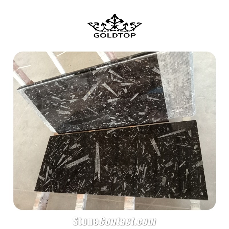 Modern Style Fossil Stone Marble Slabs For Kitchen