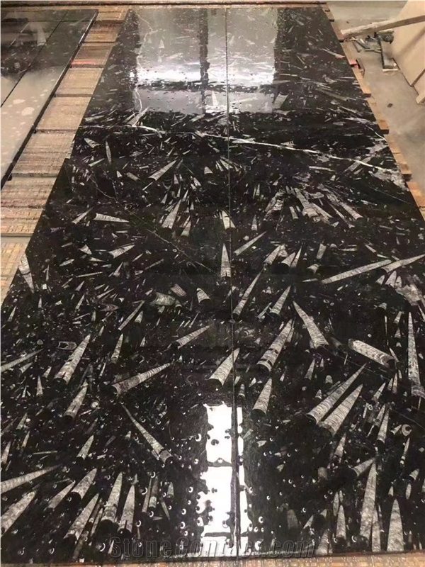 Modern Style Fossil Stone Marble Slabs For Kitchen
