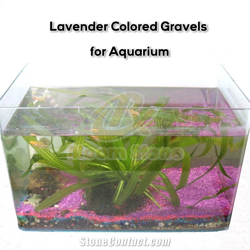 Vase Filler Lavender Coloured Gravels For Aquarium