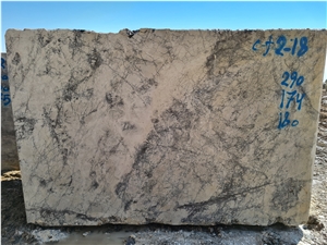 ZA.Jungle White Marble Blocks