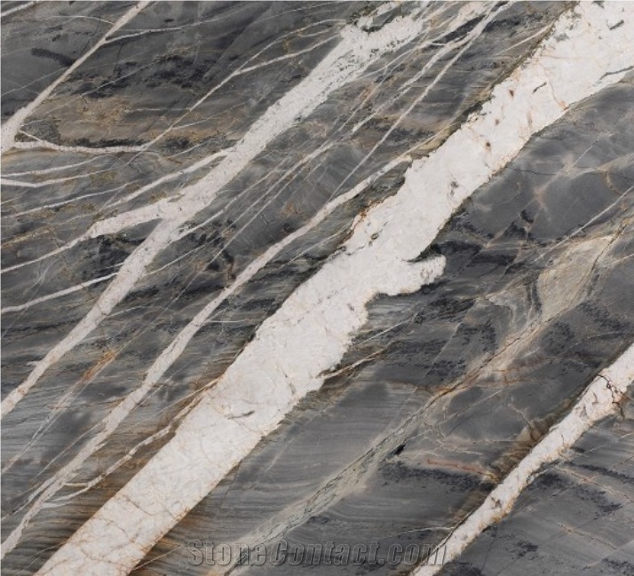 Cinza Paramount Quartzite