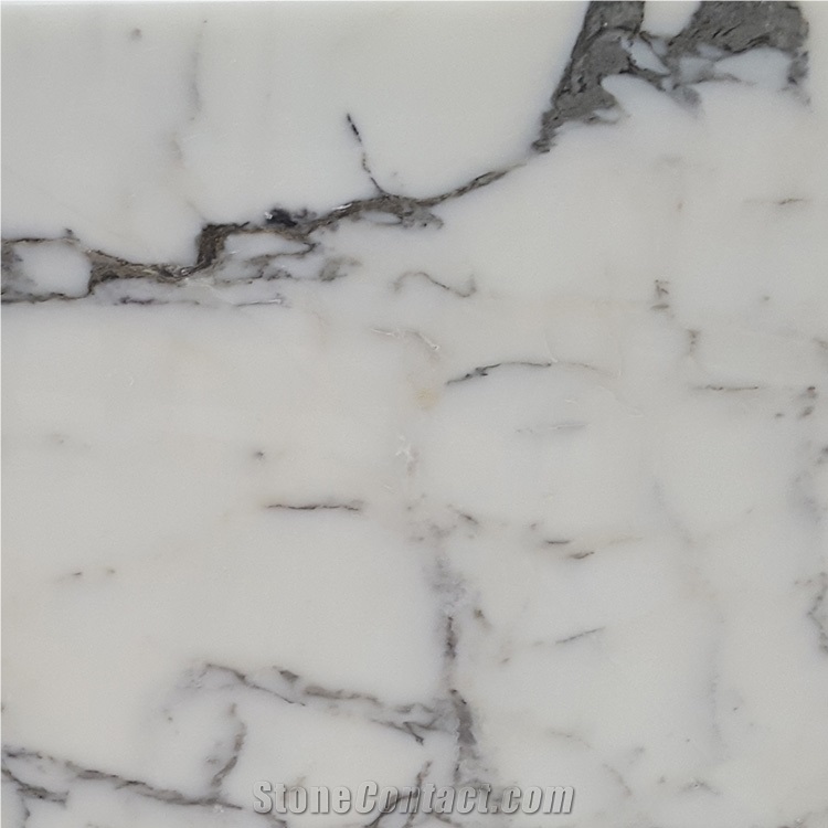 Natural Arabescato Corchia Marble Slab