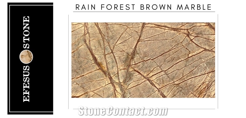 Rain Forest Brown Marble Tiles,Marble Slabs