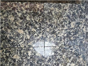 China Leopard Skin Granite Fogila D'autun G304 Multicolor