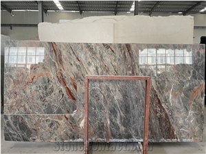 France Sarrancolin Versailles Marble Standard Slabs Polished