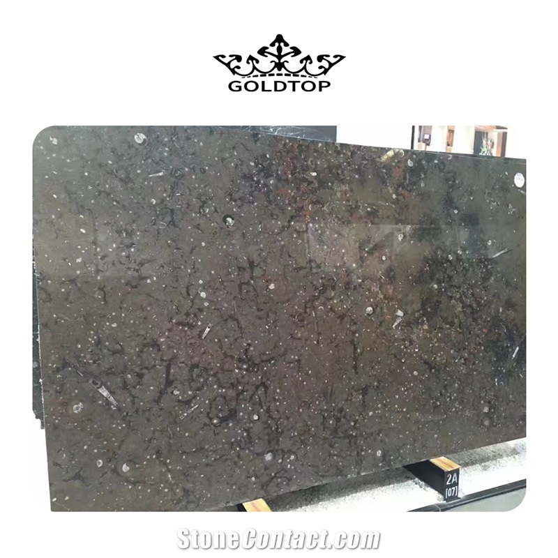 Best The Underwater World Fossil Marble Slabs For Floor