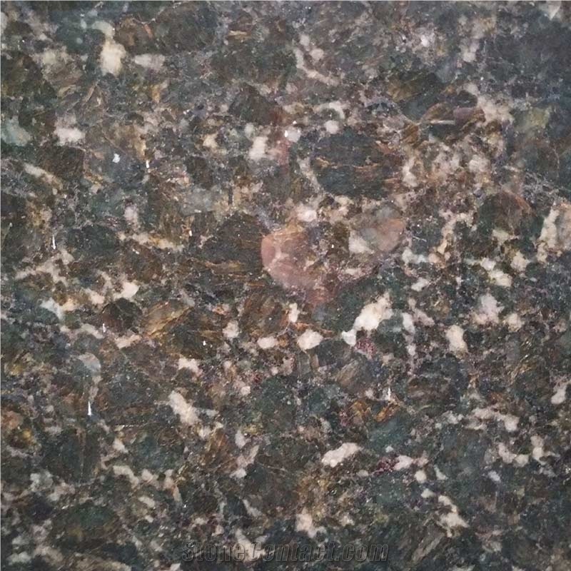 GOLDTOP OEM/ODM Butterfly Green Granite Countertops