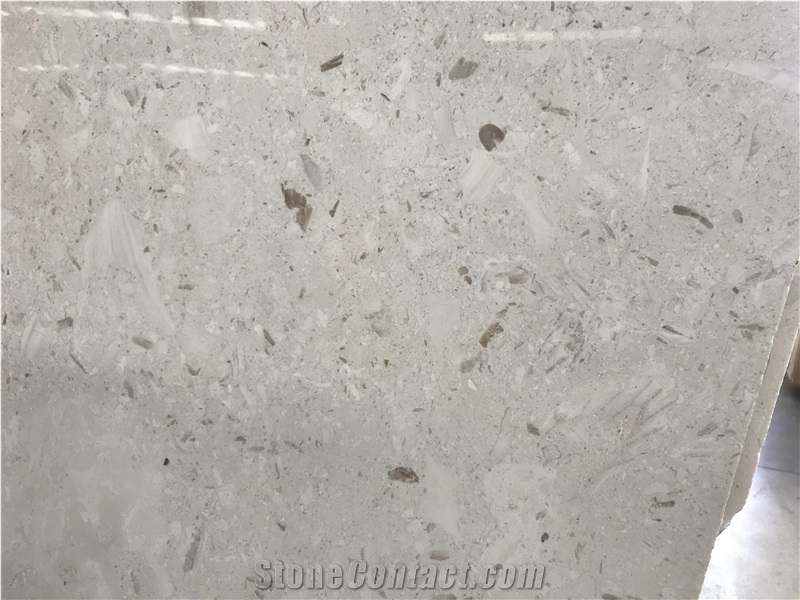 White Seashell Toros Beige Limestone Slabs