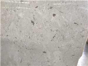 White Seashell Toros Beige Limestone Slabs