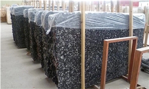 China Sea Shell Black,Seashell Flower,Fossil Black Marble