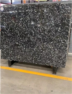 Deep Sea Marble,China Sea Shell Marble Slab&Tiles