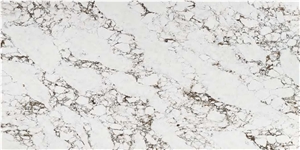 Golden Years ASMY 3509 QUARTZ