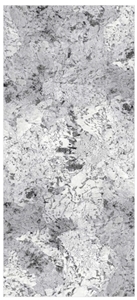 SILVER FOX Sintered Stone