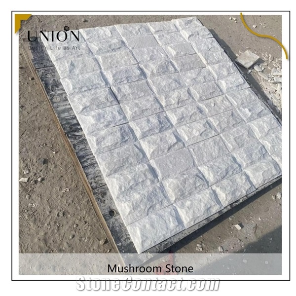 Outdoor Wall Cover White Split Quartzite Stone Panels For Wall