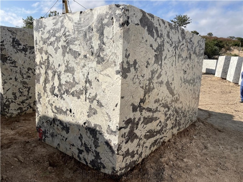 White Panda Splendour Granite Blocks