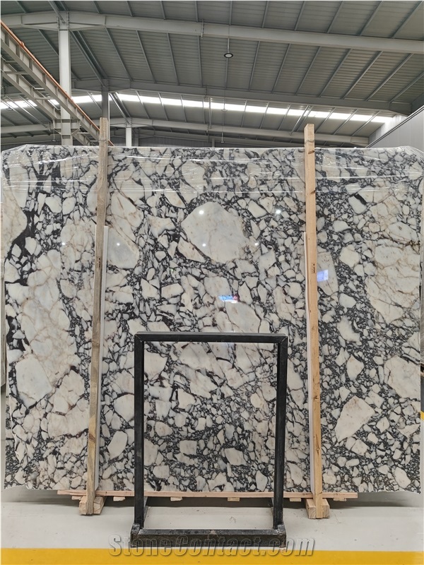 Calacatta Viola Marble Slabs Tiles  For Wall Floor Decor