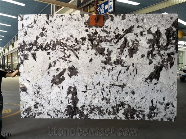Brazil Silver Fox Granite Polished Slabs For Interior Design