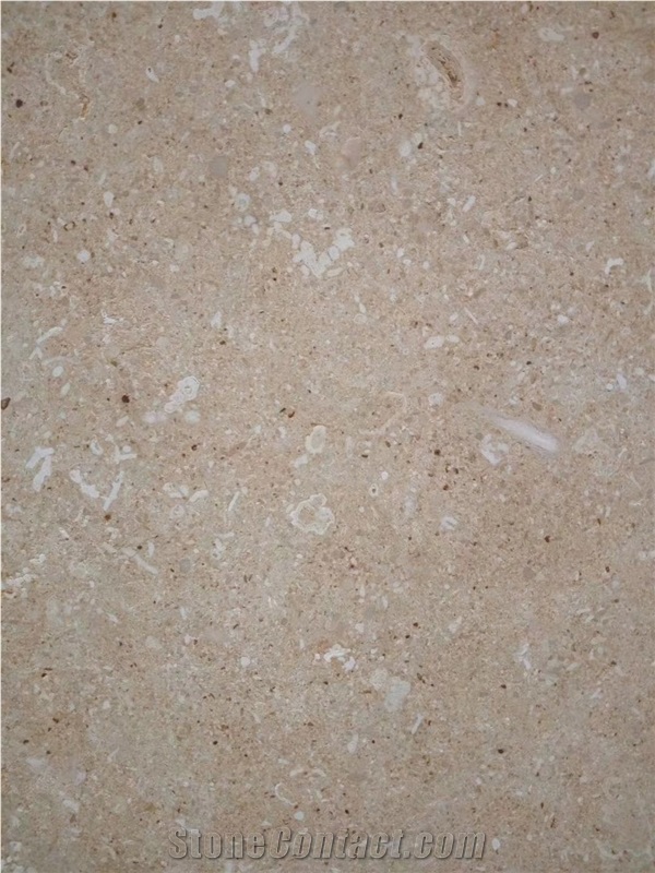 GOLDTOP OEM/ODM Italy Beige Limestone Polished Slabs