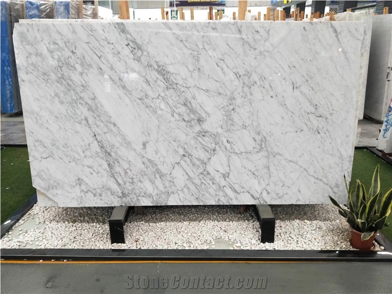 Italy Blanco Carrara Marble Slabs Polished Venia