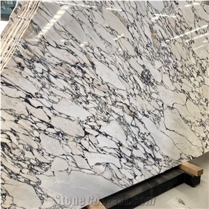 Luxury Natural Calacatta Viola Marble Slabs Bulgari Purple