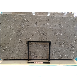 Patini Grey Marble Slabs With Gorgeous Sea Conch Grain