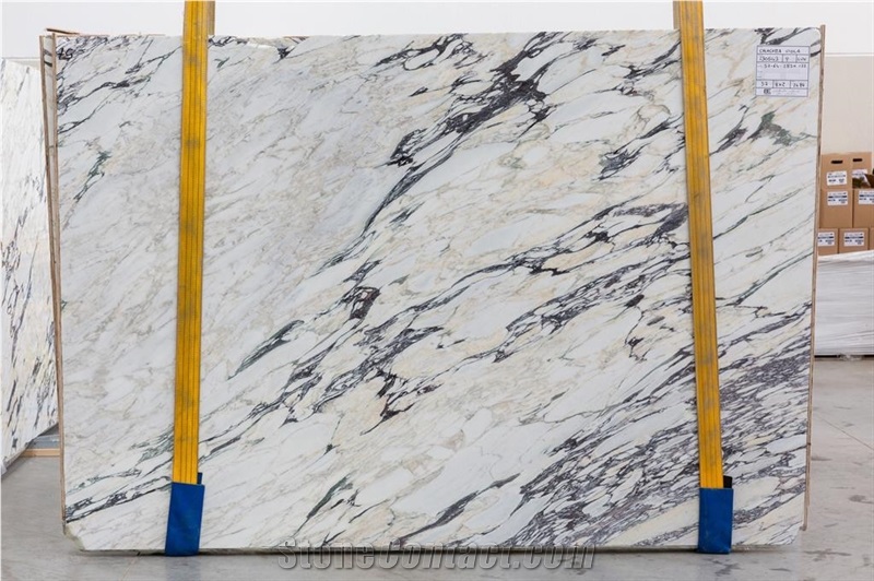 Calacatta Viola Marble First Choice Slabs In Italy