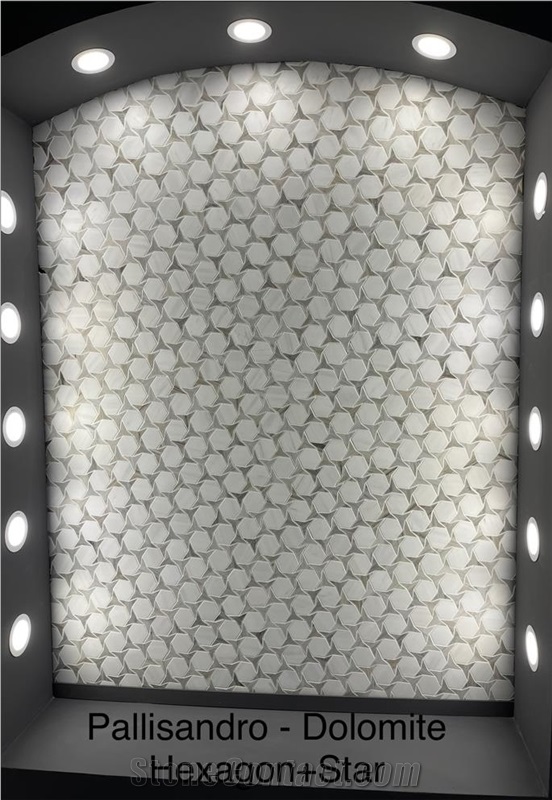 Turkish Palissandro Marble+Dolomit Marble Hexagon Mosaic