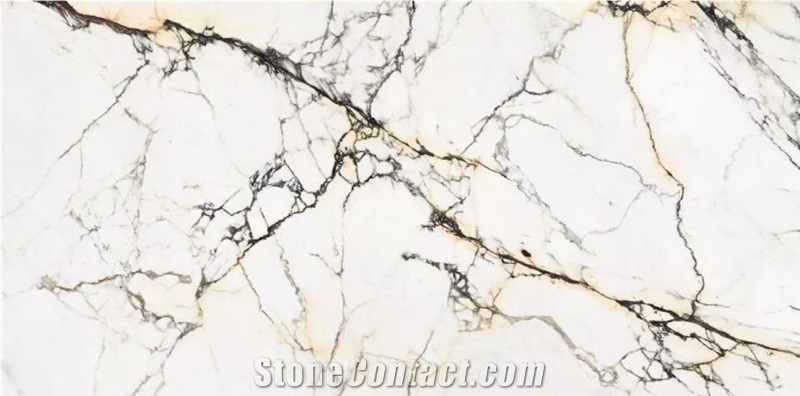 Paonazetto Bianco Marble Slabs For Flooring Wall Covering