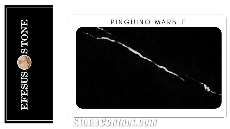 Toros Black Marble - Pinguino