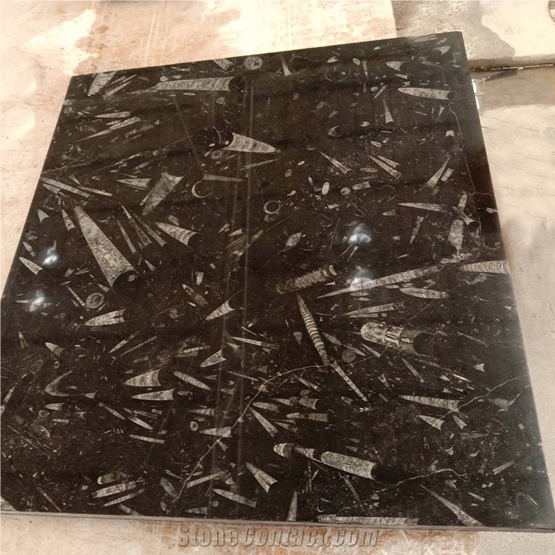 Classic Style Fossil Stone For Marble Tiles