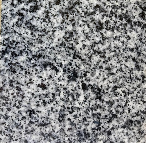New Bianco Halayeb Granite Tiles,Granite Slabs