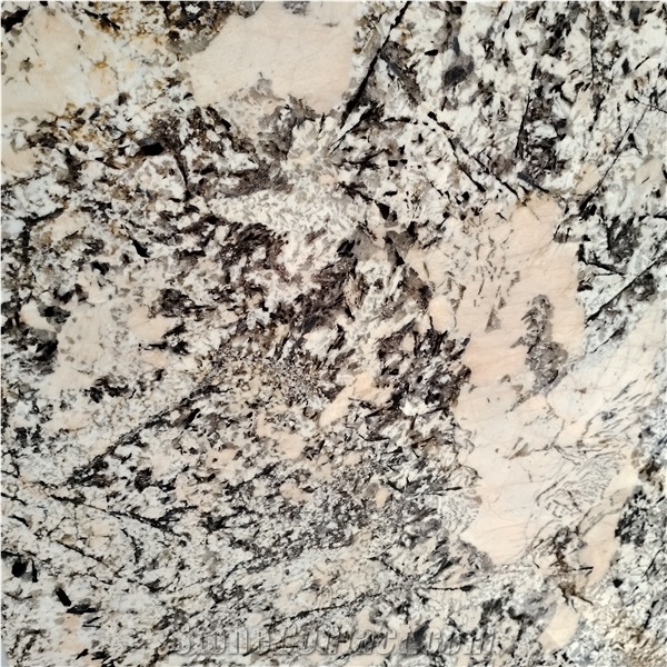 Hot Sale White Pandora Granite Slabs With Black Pattern