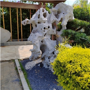 White And Black Coral Taihu Lake Stone Garden Boulders Rock