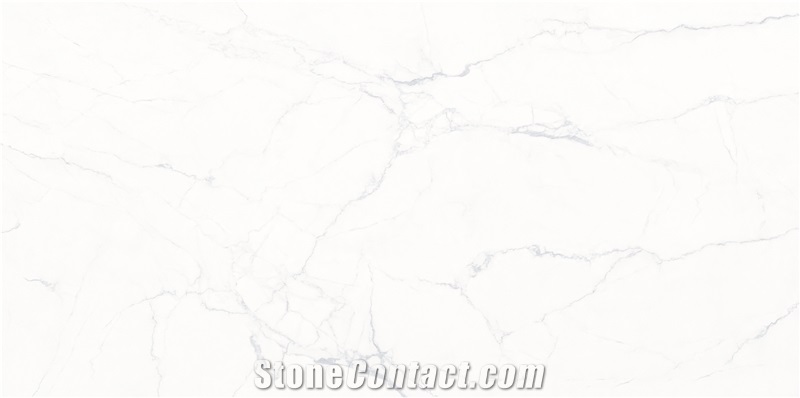 Fengdan White Sintered Stone