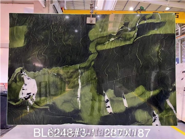 Stunning Brazil Verde Avocatus Quartzite Slabs For Sale