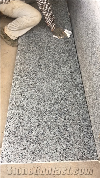 New G439 Granite Tiles & Slabs