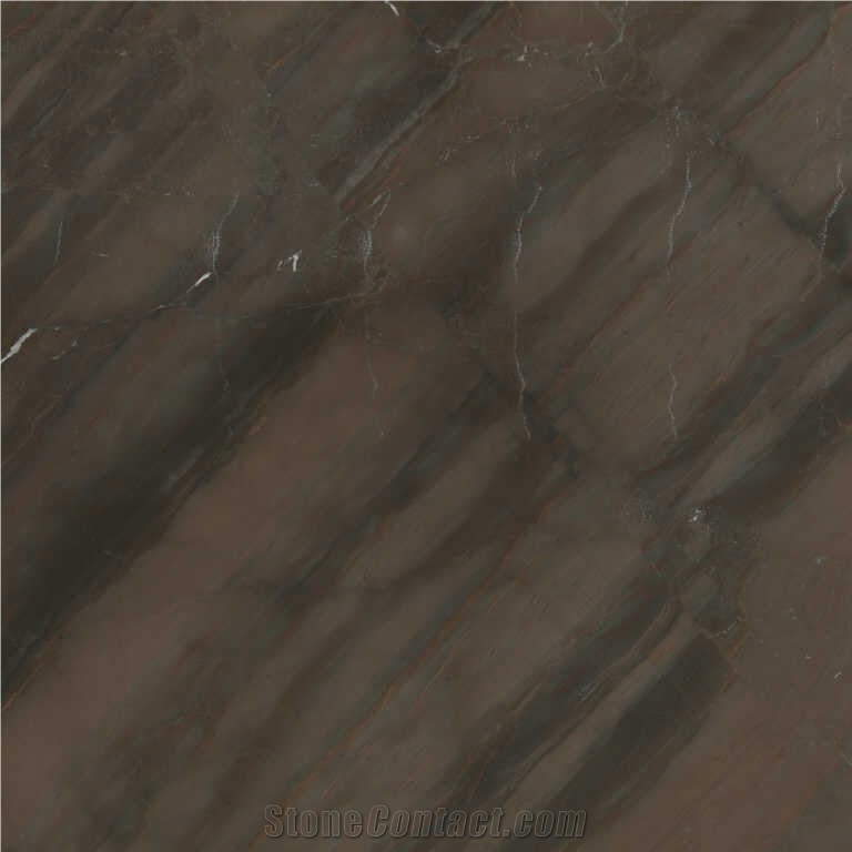 Elegant Brown Quartzite Tile