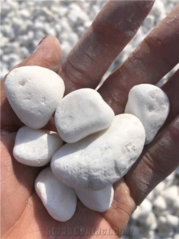 Snow White Pebble Stone Manufacturer