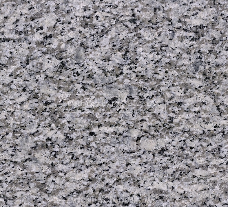 Leopard Grey Granite - Nehbandan Gray Granite