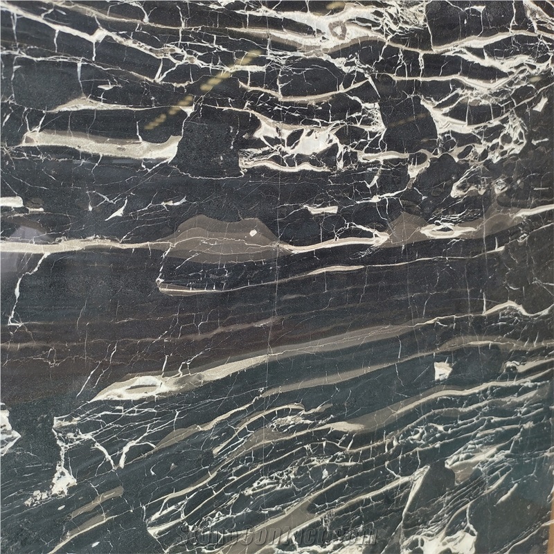 Black Nature Silver Dragon Marble For Floor Tiles