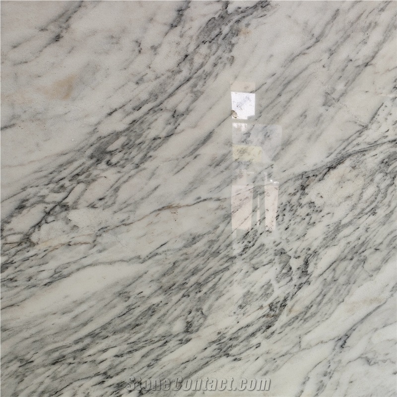 Himalaya White White Marble Slab For Floor Design