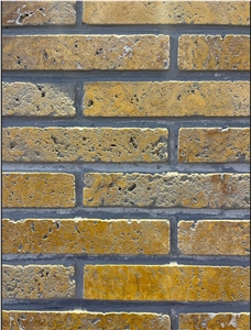 Gold Travertine Wall Tiles Brushed Finish