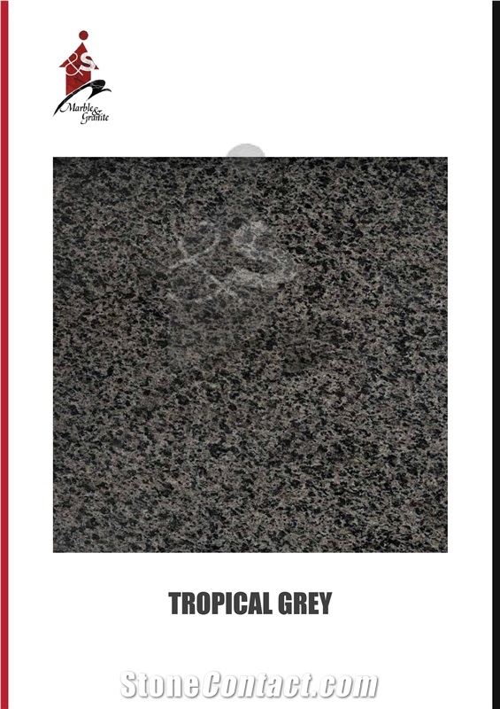 Tropical Grey Granite Tiles, Granite Slabs